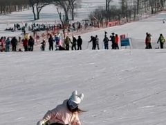 -呼兰河口湿地公园