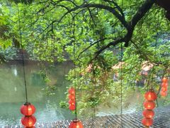 -侨美·唐荔园·40年地道粤菜