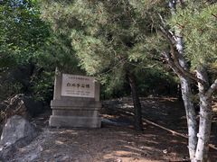 -白水寺森林公园