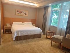 -维也纳酒店(华为广州研发中心罗冲围店)