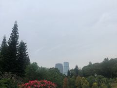 -云溪植物园