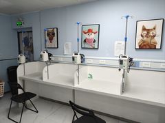 -纳吉亚猫专科动物诊疗中心(蒋宅口分院)