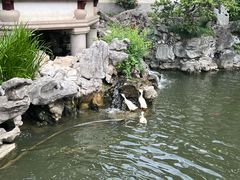 -豫园