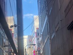 -秋叶原电器街