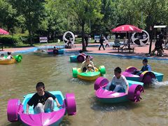 -西部长青自然儿童乐园