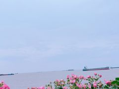 -上海滨江森林公园
