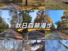 -长春市南湖公园