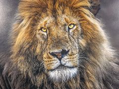 -罗红摄影艺术馆