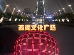 -西湖文化广场