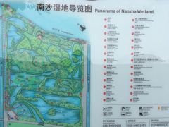 -大湾区中央湿地公园