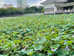 -荔湾湖公园
