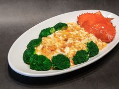 -蝶园·装修中(BFC外滩金融中心店)