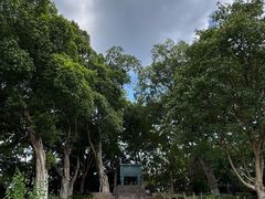 -磁器口古镇
