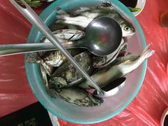 蚝乡农庄-蚝乡农庄(铁涌赤岸店)