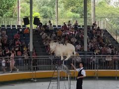 -泉州海丝野生动物世界