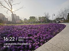 -新江湾城公园