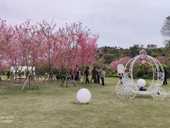 -福建鲤鱼洲酒店