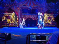 -珠海横琴长隆《卡卡虎奇遇记》