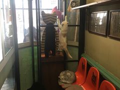 -猫咪博物馆(顶澳仔猫街店)