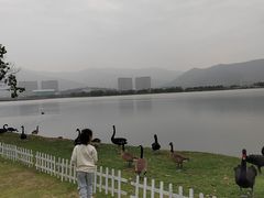 -长兴太湖图影湿地文化园