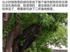 -南锣鼓巷