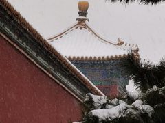 -故宫博物院(故宫)