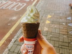 -富豪雪糕车流动点(尖沙咀店)