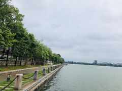 -光岳楼