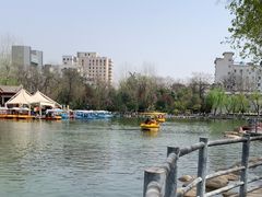 -莲湖公园