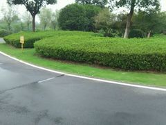 android_upload_pic-艾溪湖湿地公园