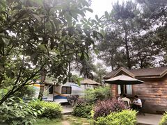 -铁山坪森林公园