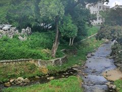 -梧桐山风景名胜区