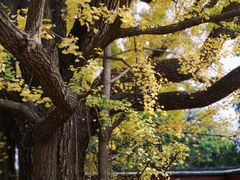 -浮来山风景区