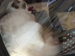 -鹏欣水游城