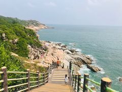 -广东惠东海龟国家级自然保护区