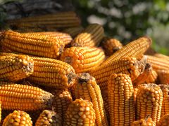 -蟠龙山长城景区