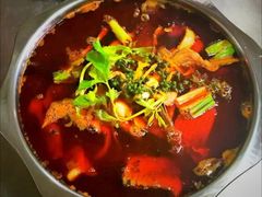 -蜀渔轩美蛙鱼火锅(郫筒店)