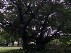 -南宁南湖公园