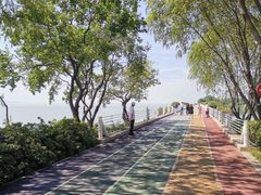 -贡湖湾湿地公园