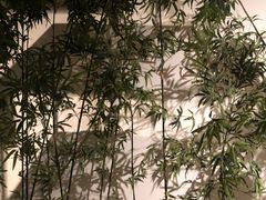 -六朝博物馆