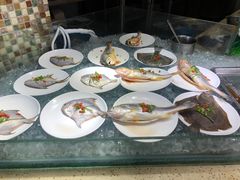 -港畔赶海蒸汽海鲜烧烤自助(仙螺岛店)