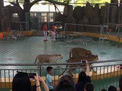 -泉州海丝野生动物世界