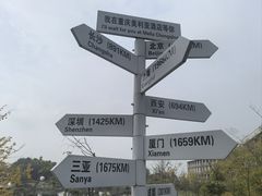 -铁山坪森林公园