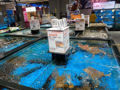-盒马鲜生(财富领域店)