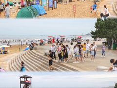 -日照海滨国家森林公园