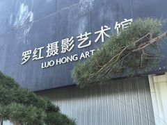 -罗红摄影艺术馆