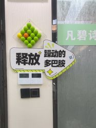 -凡碧诗毛孔清洁收细