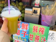 -西双版纳傣族园