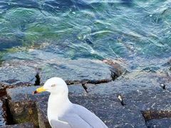 -悦海公园