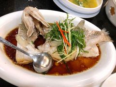 清蒸鲈鱼-北国饭店(阳光店)